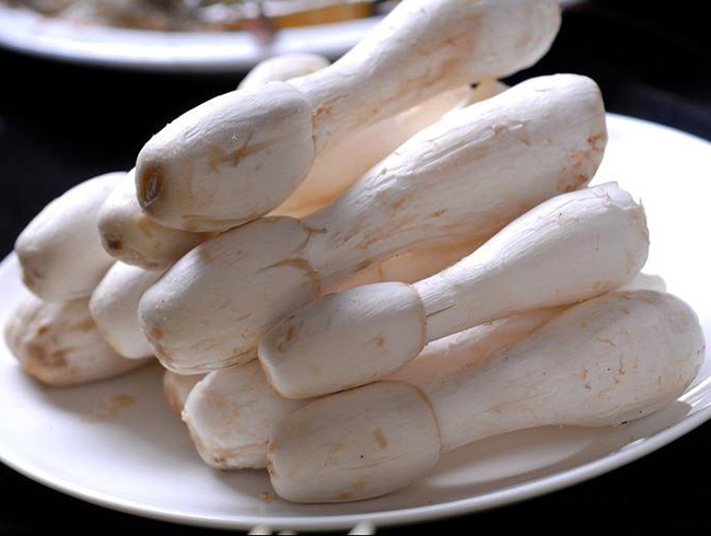 工廠(chǎng)化杏鮑菇栽培